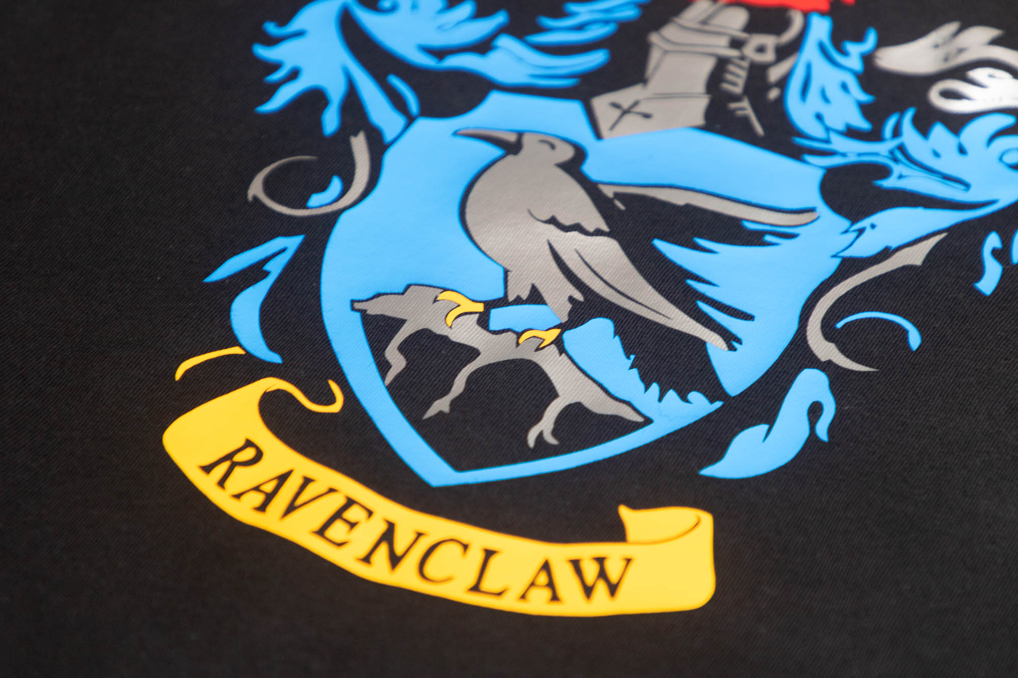 Camiseta - Harry Potter - Ravenclaw - 01 - Imagen 5