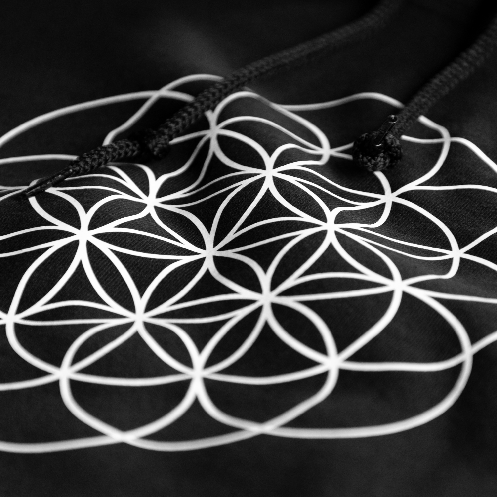 Buzo Coldplay - A Head Full Of Dreams - 01 - Imagen 6