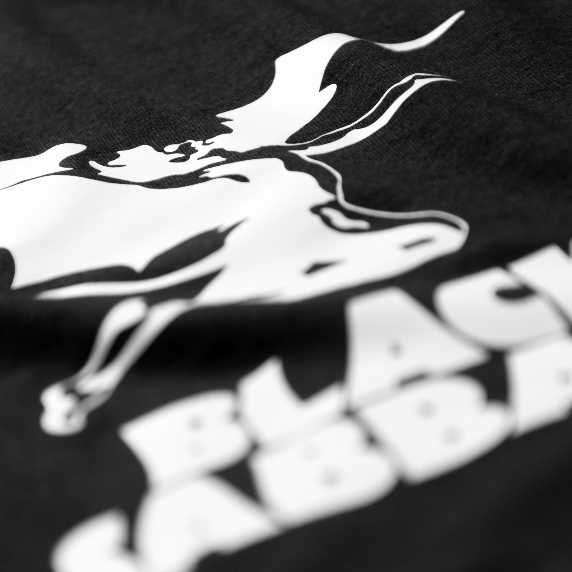 Camiseta Black Sabbath - Fallen Angel - Imagen 5