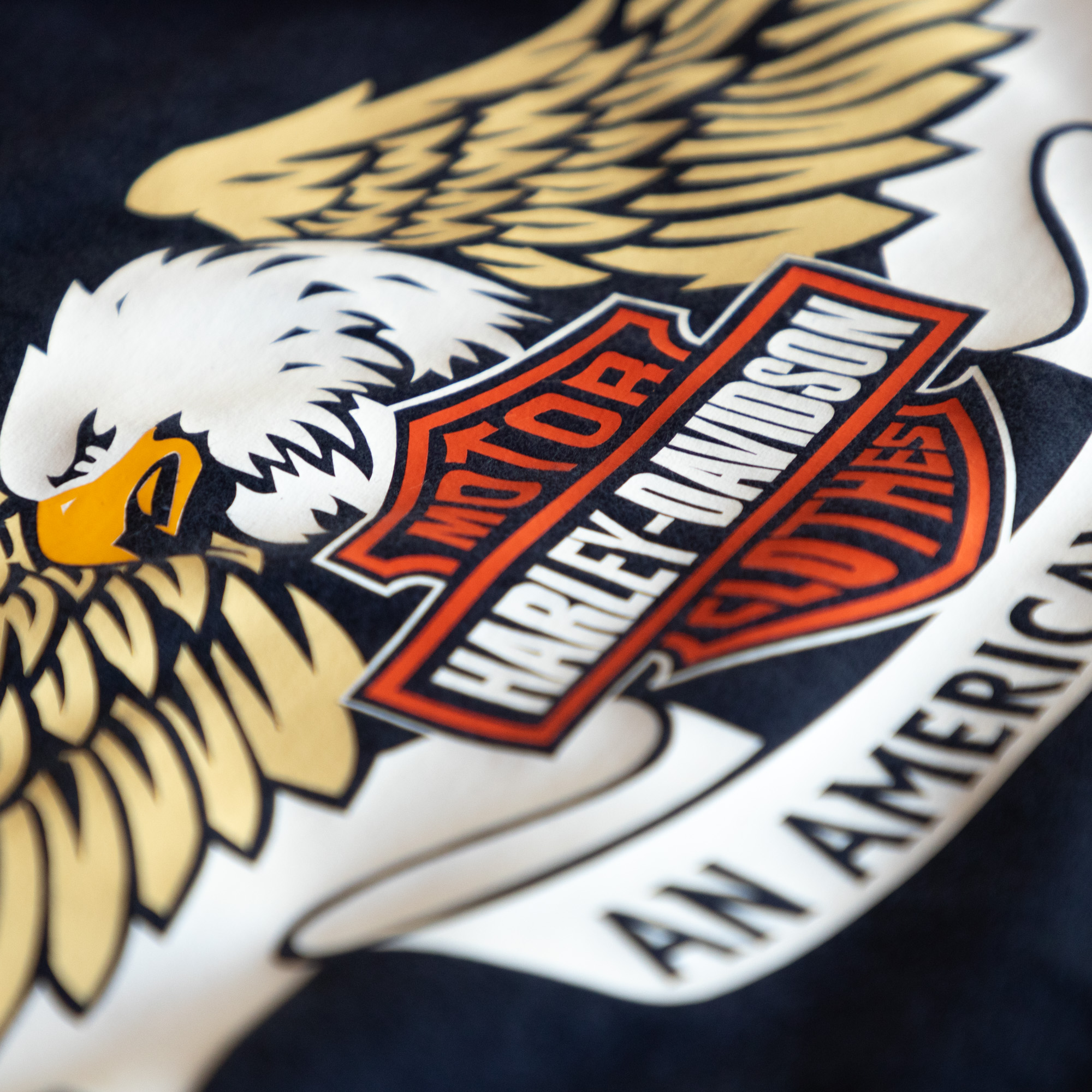 Camiseta Harley Davidson - Motor Clothes An American Legend - 01FC - Imagen 4