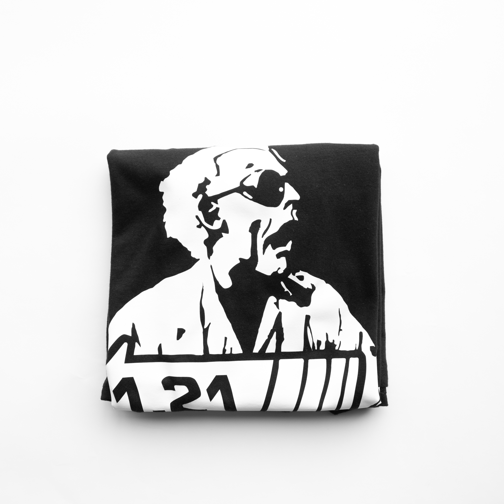 Camiseta Back to the Future - 1.21 Gigawatts Volver al Futuro - Imagen 4