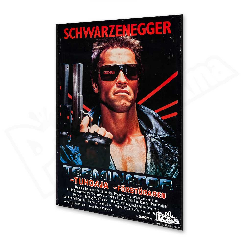 Póster - Terminator 1