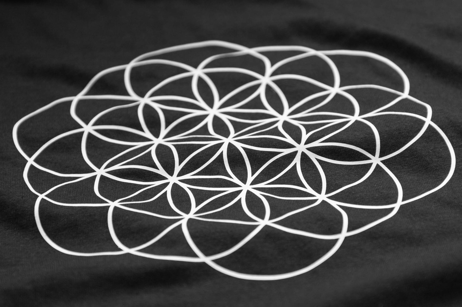 Camiseta Coldplay - A Head Full Of Dreams - Imagen 4