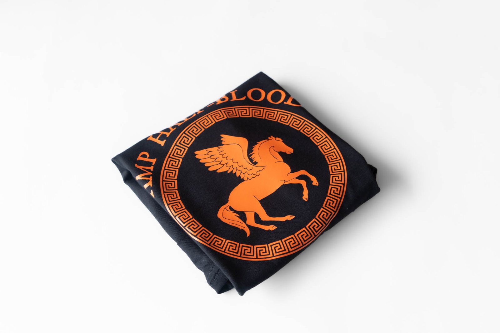 Camiseta Percy Jackson - Camp Half Blood - 01 - Imagen 5