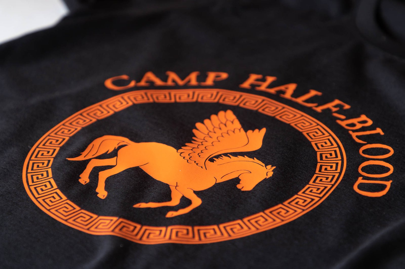 Camiseta Percy Jackson - Camp Half Blood - 01 - Imagen 6