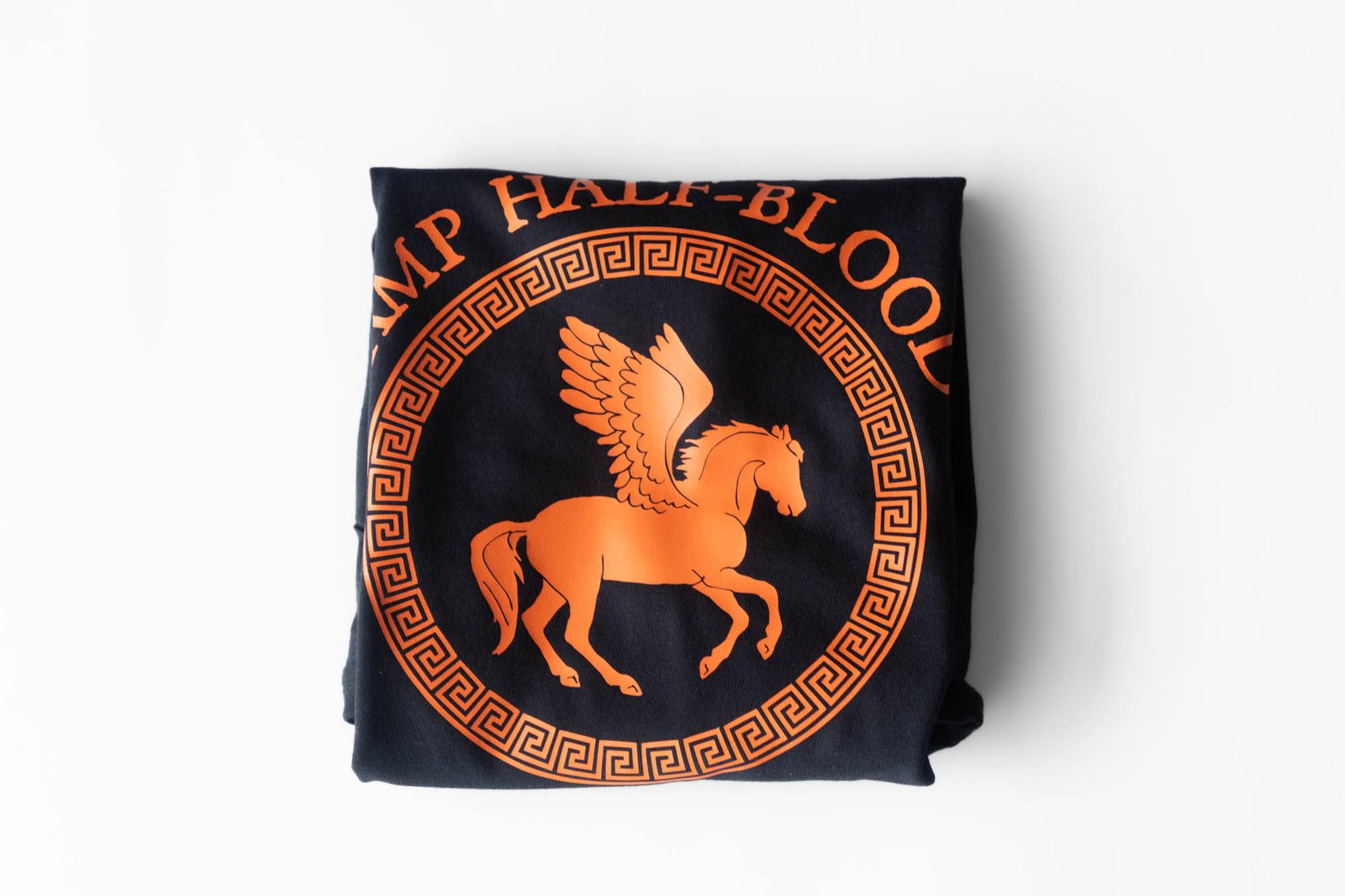 Camiseta Percy Jackson - Camp Half Blood - 01 - Imagen 8