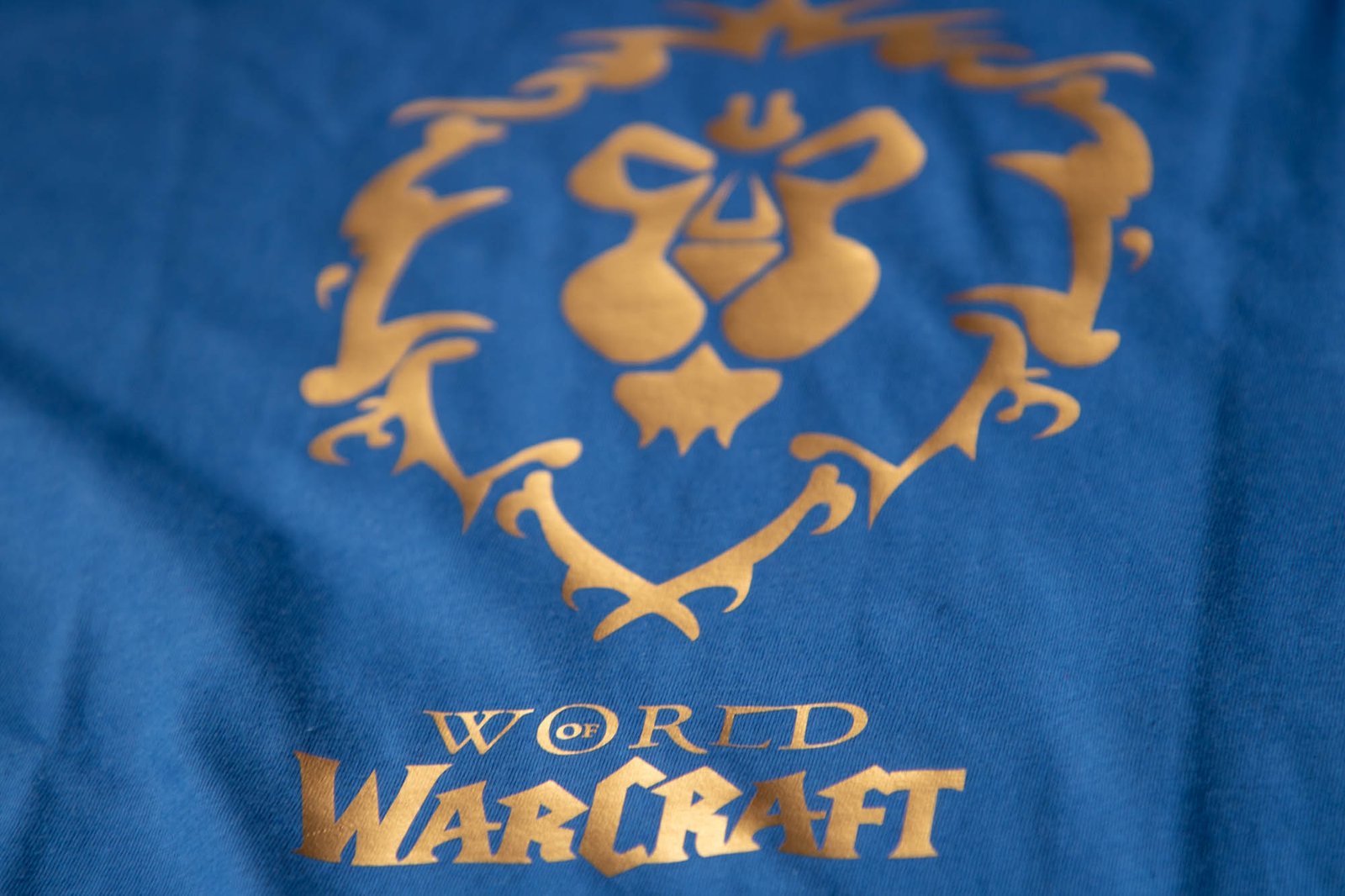 Camiseta World Of Warcraft - Alliance - 02 - Imagen 14